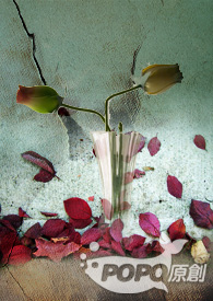 �����ȷ��ʹ�ó��˹���