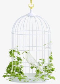 ��˿ȸ��1v1��