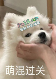 ����������У԰1v2��