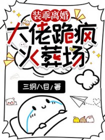 װ����飬���й����᳡