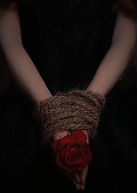 ���ԣ�˫���ǿƣ�