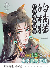 ���������ʵ۵���è