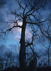 �������ּ�