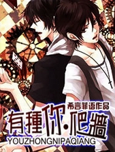 ��������ǽ