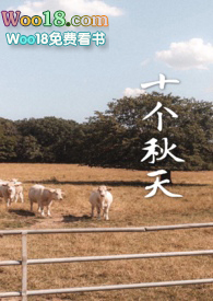 ʮ������