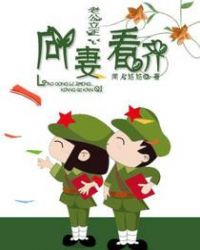 �Ϲ����������޿���