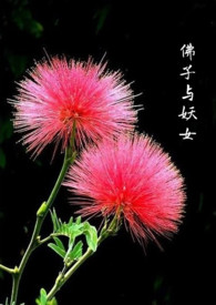 ��������Ů��GBŮ����