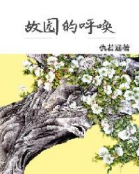 ��԰�ĺ���