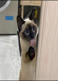 ����ϲ���㣨α�ǿƣ�1v2��