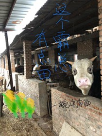 ��������е���