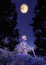 ݺݺ���ࣨ�Ŵ� NPH��