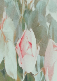 ˭ȥ����˭�����ٺ� np��